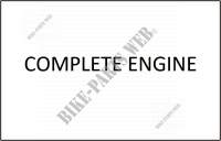 MOTOR COMPLETO para SYM GTS 125I (LN12W2-FR) (L4) 2014